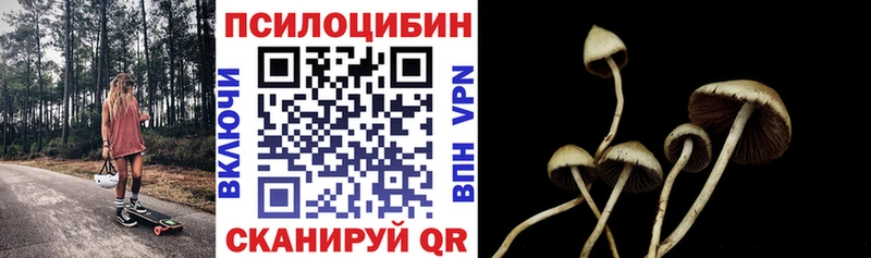 магазин продажи   Назрань  Псилоцибиновые грибы Magic Shrooms 