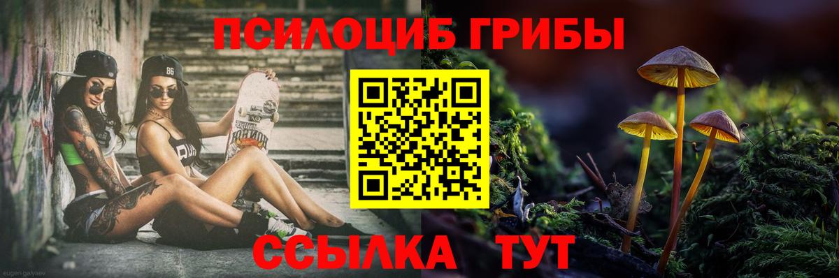 Псилоцибиновые грибы MAGIC MUSHROOMS Назрань