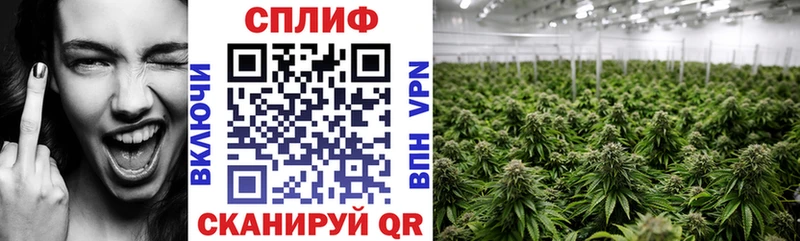 Канабис сатива  ссылка на мегу зеркало  Назрань 